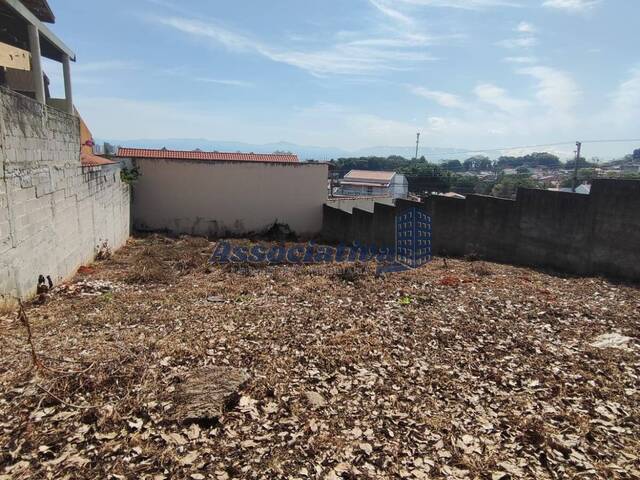 #1707 - Terreno para Venda em Taubaté - SP - 3