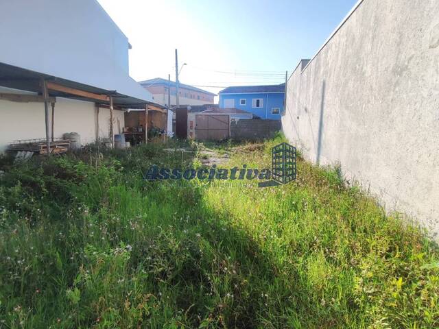 #1719 - Terreno para Venda em Taubaté - SP - 3