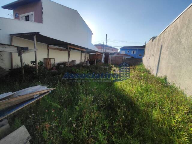 Terreno para Venda em Taubaté - 4