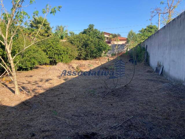 #1802 - Terreno para Venda em Taubaté - SP - 3
